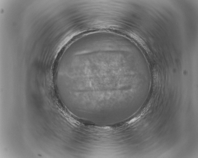 X0000059081023200510172024