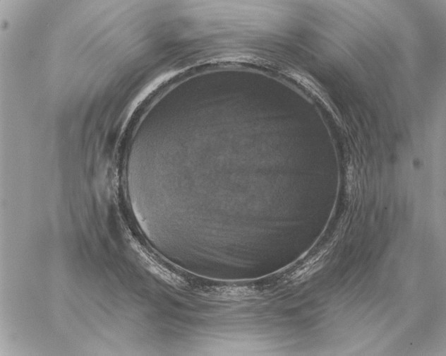 X0000059081024200510172024