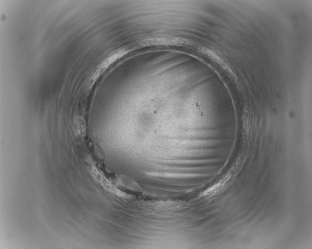 X0000059081025200510172024