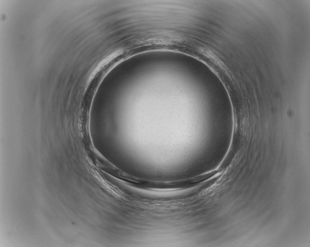 X0000059081026200510172024