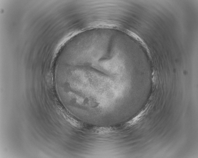 X0000059081027200510172024