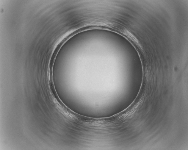 X0000059081028200510172024