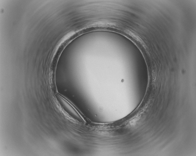 X0000059081029200510172024