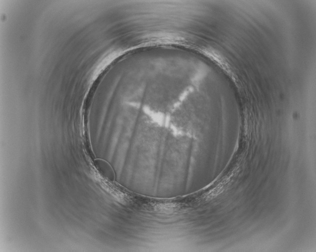 X0000059081031200510172024