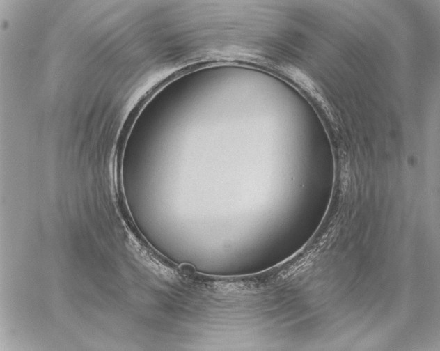 X0000059081032200510172024