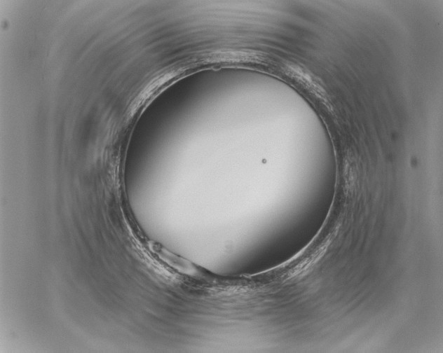 X0000059081033200510172024