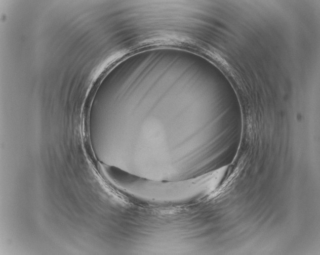 X0000059081034200510172024