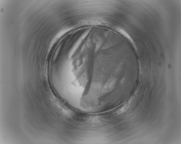 X0000059081035200510172024