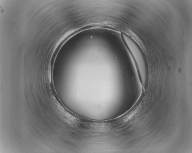 X0000059081036200510172024