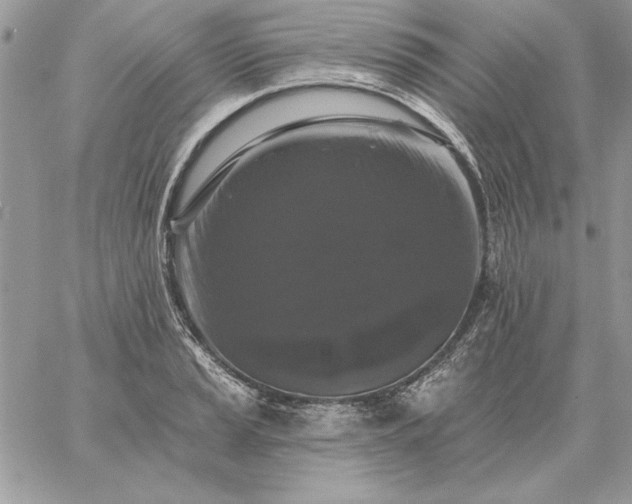 X0000059081037200510172024