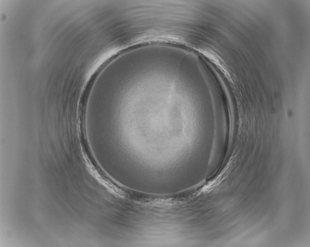 X0000059081038200510172024