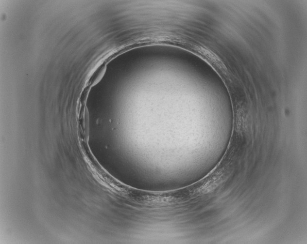 X0000059081039200510172024