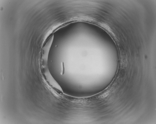 X0000059081040200510172024