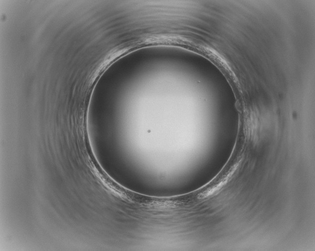 X0000059081041200510172024