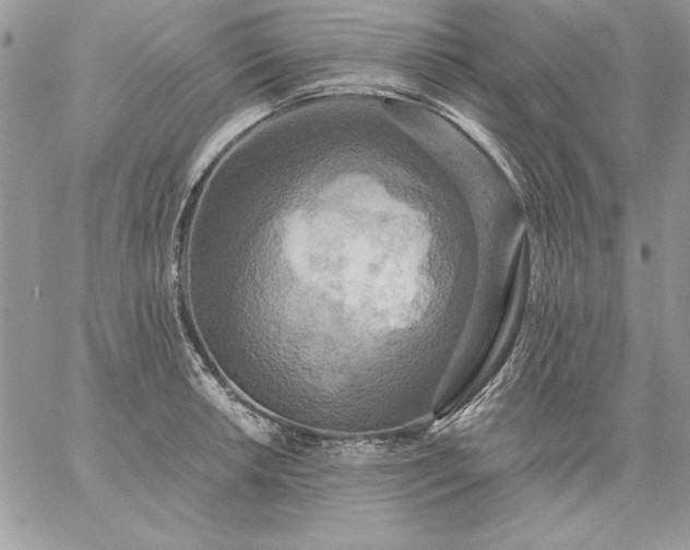 X0000059081042200510172024