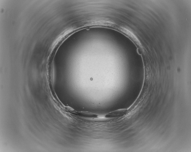 X0000059081043200510172025