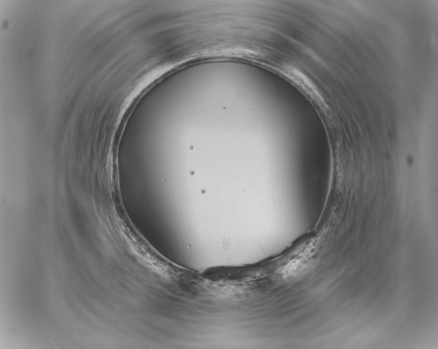 X0000059081044200510172025