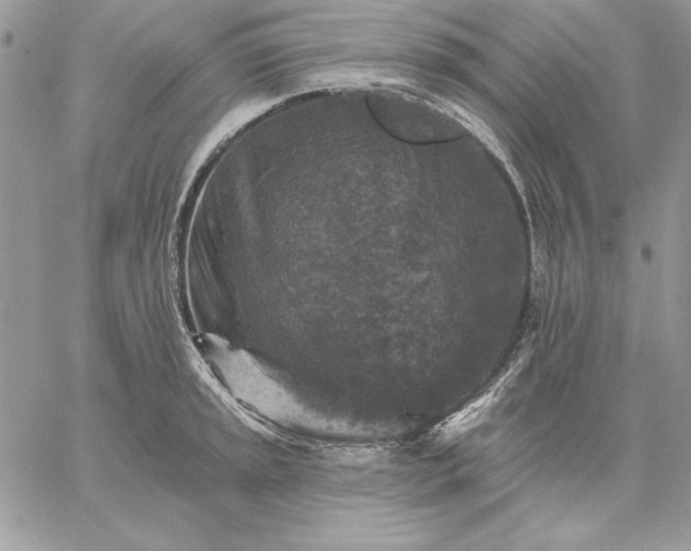 X0000059081045200510172025