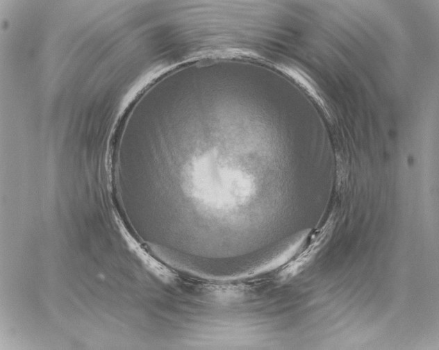 X0000059081046200510172025