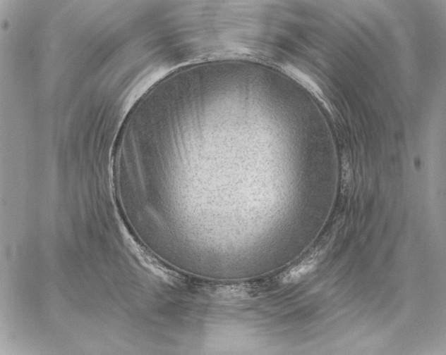 X0000059081047200510172025