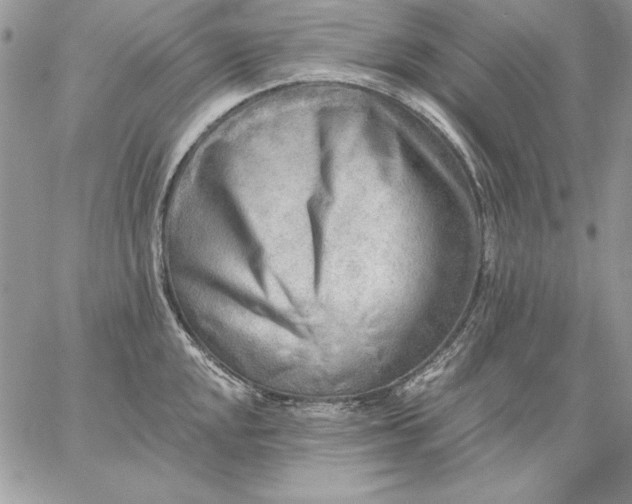 X0000059081048200510172025