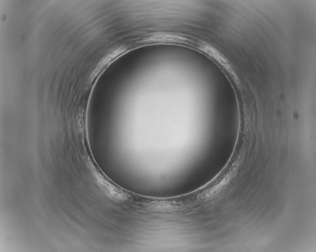 X0000059081049200510172025