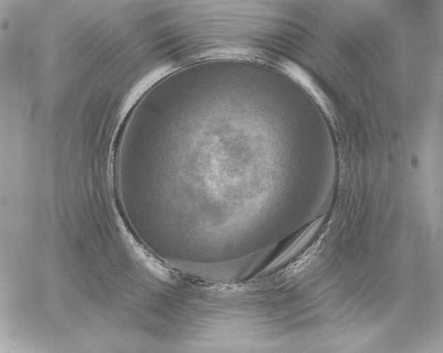 X0000059081050200510172025