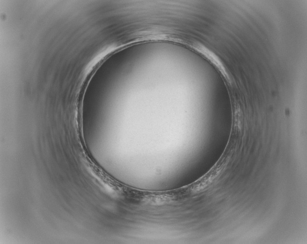 X0000059081051200510172025