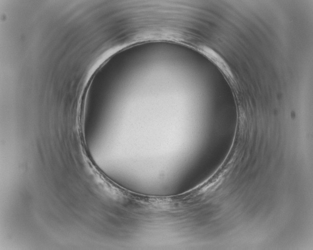 X0000059081052200510172025