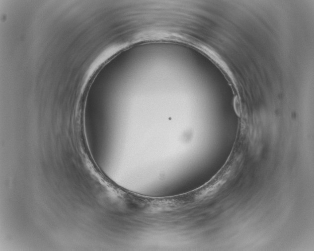 X0000059081053200510172025