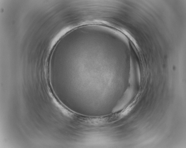 X0000059081054200510172025