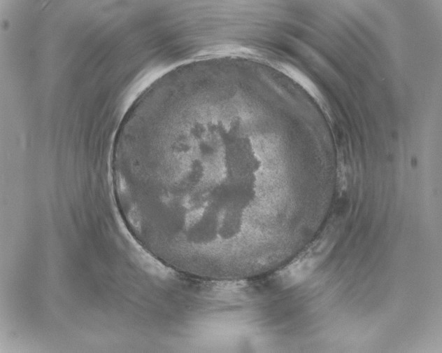 X0000059081055200510172025