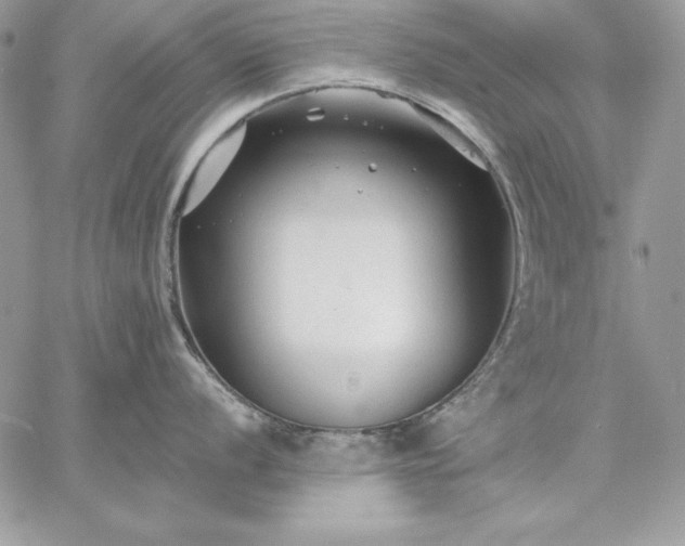 X0000059081056200510172025