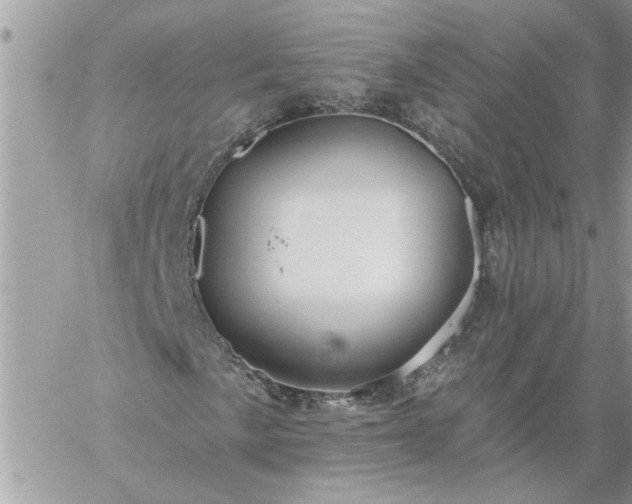 X0000059081057200510172024