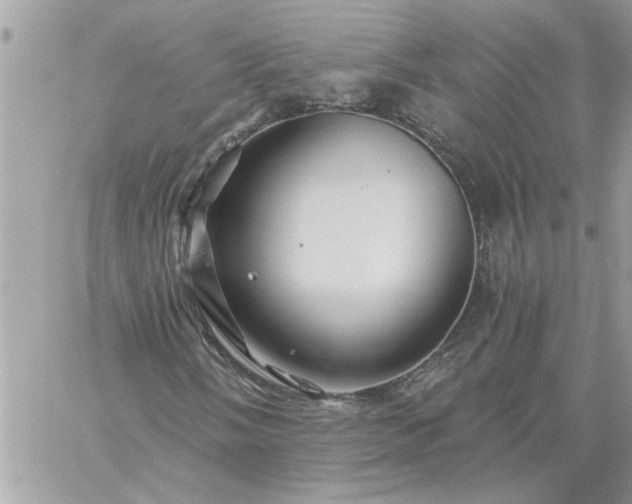 X0000059081058200510172024