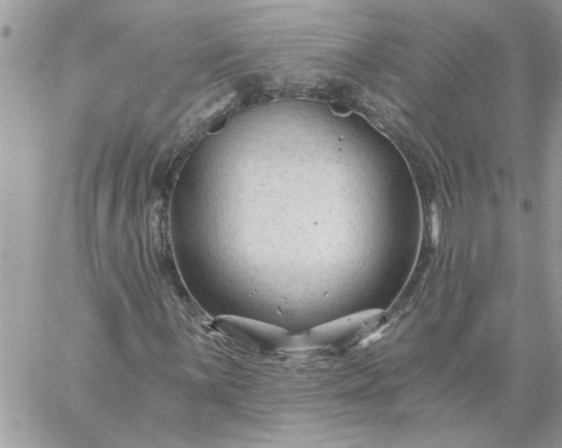 X0000059081059200510172024