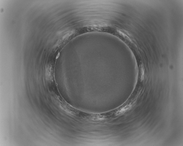 X0000059081060200510172024