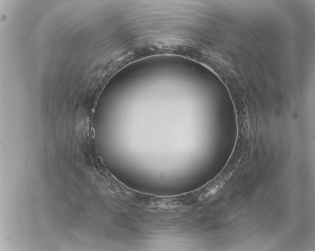 X0000059081061200510172024