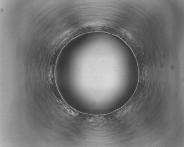 X0000059081062200510172024