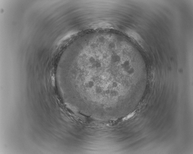 X0000059081063200510172024