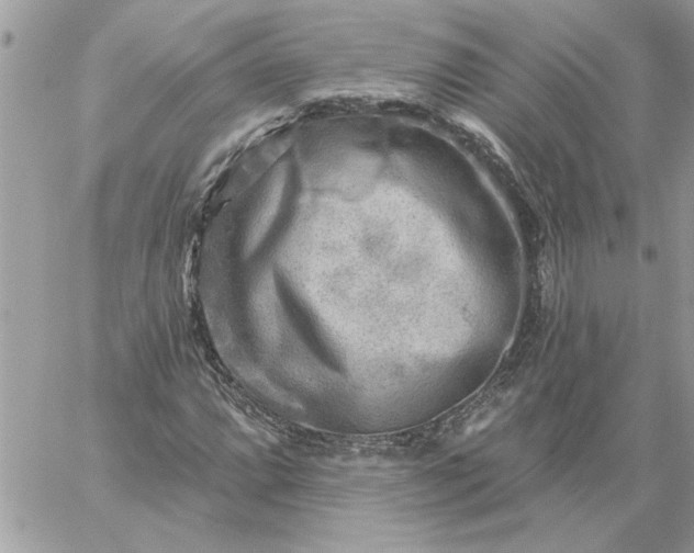 X0000059081064200510172024