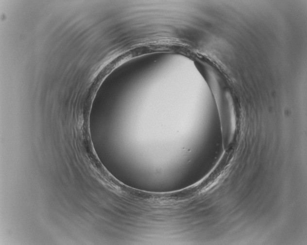 X0000059081065200510172024