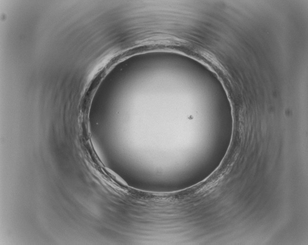 X0000059081067200510172024