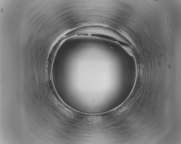 X0000059081068200510172024