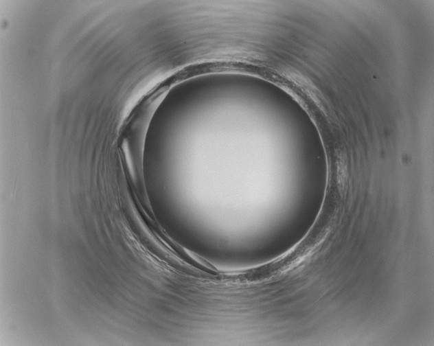 X0000059081069200510172024