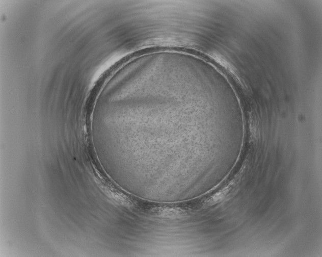 X0000059081070200510172024