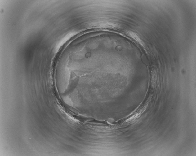 X0000059081071200510172024