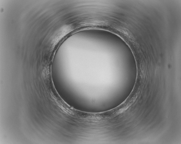 X0000059081073200510172024