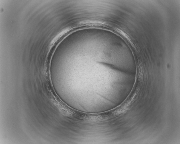 X0000059081074200510172024