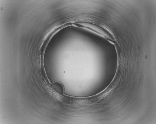 X0000059081075200510172024